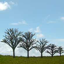 model trees
